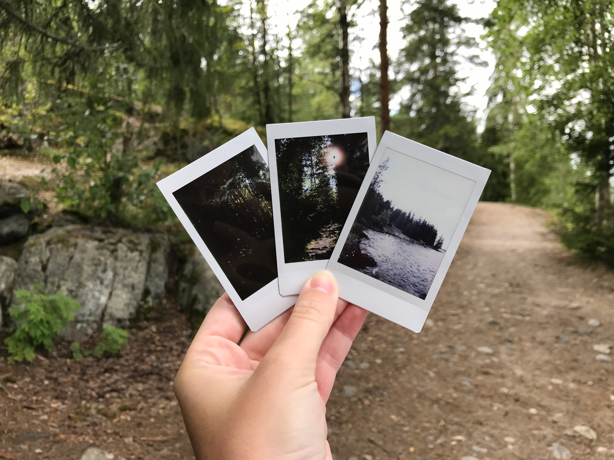 Photo from Kaupinojan sauna, Tampere, Finland